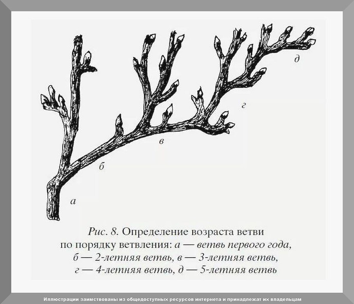 https://vk.com/photo-159774511_457267056