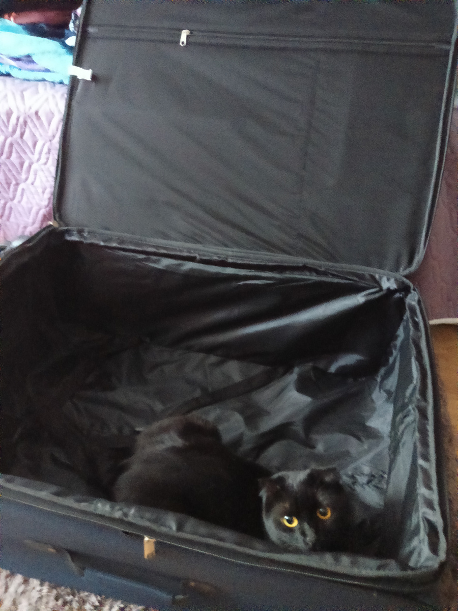 Прятаться в чемодане, мешая мне собираться на море, это тоже игра у Пеппи😁. 