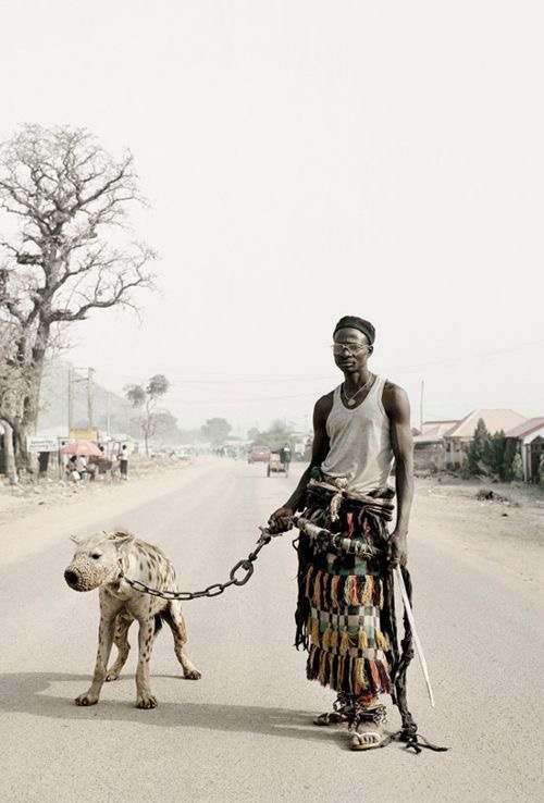 Да, это правда! Люди и гиены, как и многие другие виды, имеют общего предка, который жил миллионы лет назад. Все млекопитающие, включая людей, гиен и других существа, происходят из общего эволюционного дерева. Это происходит из-за процесса, известного как эволюция, который объясняет, как виды адаптируются и развиваются с течением времени через естественный отбор.

Гиены и люди принадлежат к классу млекопитающих и более узкой группе, содержащей хищников. Хотя они кажутся довольно различными, их общий предок, вероятно, был хищным животным, которое существовало много миллионов лет назад.

Некоторые факты об эволюции людей и гиен:

1. Общие черты: У людей и гиен есть некоторые общие физиологические особенности, такие как структура конечностей и черепа, которые указывают на их общую предковую связь.

2. Хищники: Гиены известны своим хищническим образом жизни и жестокой охотой, а предки человека также были хищными и собирающими, прежде чем стали более всеядными.

3. Современные исследования: Ученые используют генетические исследования, чтобы проследить еволюционные пути различных видов и понять, как они связаны друг с другом.

Эволюция — это сложный и увлекательный процесс, который объясняет разнообразие жизни на Земле, и изучение этих связей помогает нам лучше понять, как различные виды, включая людей и гиен, развивались на протяжении миллионов лет.