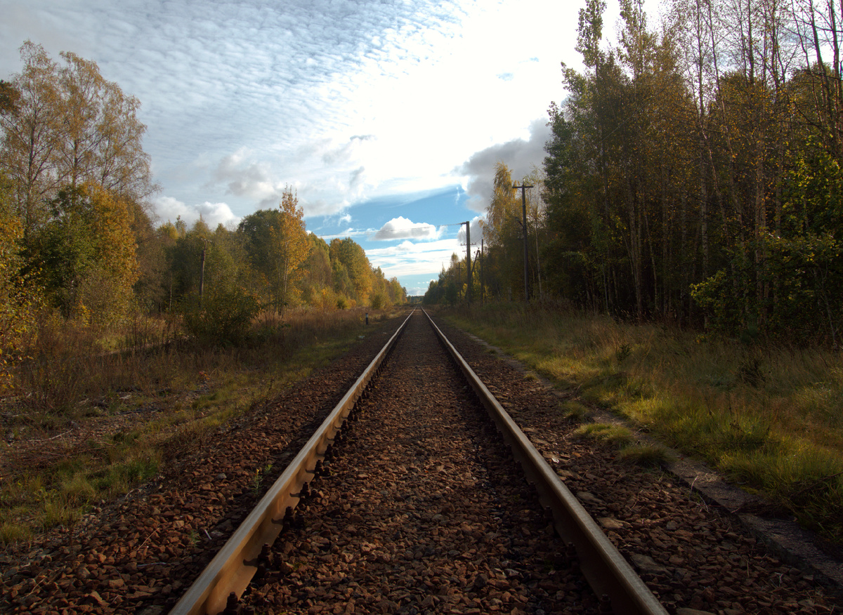 Местерьярви
