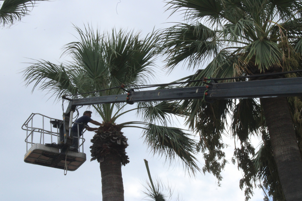 Он ее пилит!