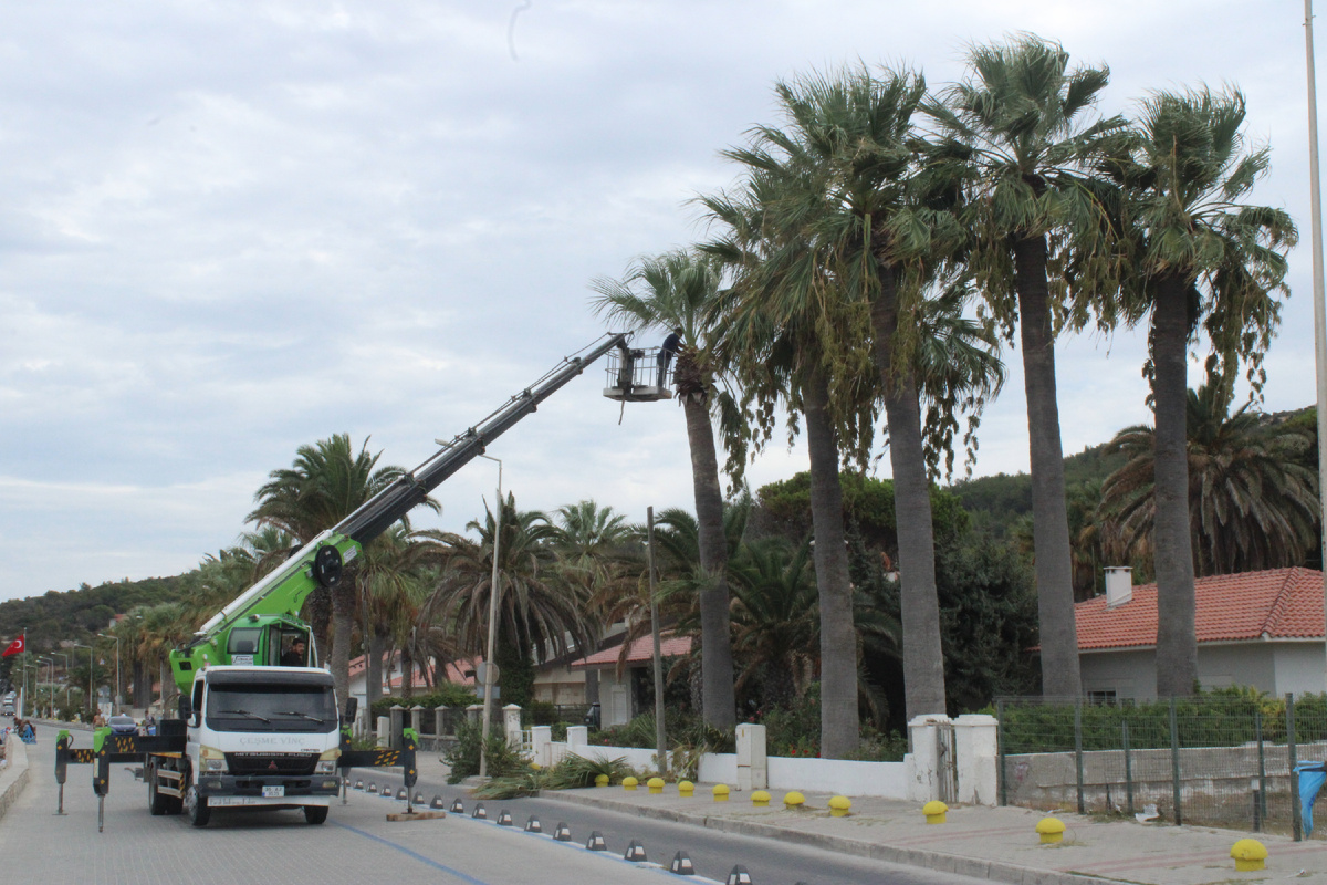 Это прямо на пляже