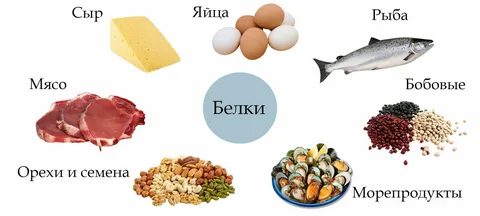 Продукты, богатые белками