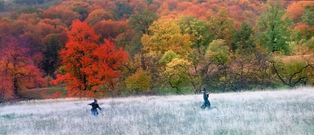 Кадр из фильма "Дом летающих кинжалов". Финальная битва