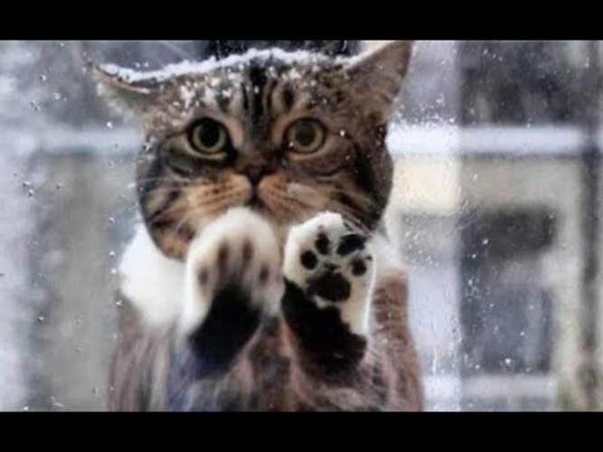 Фото из интеррнета