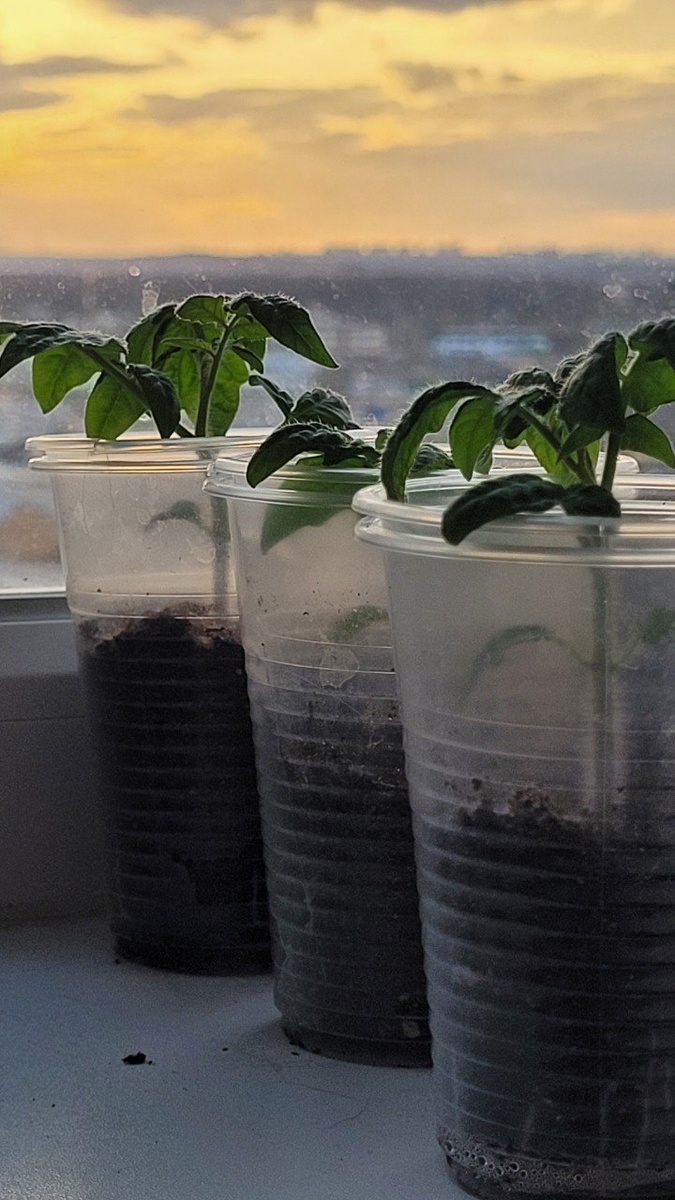 Полистайте карусель, там много красоты