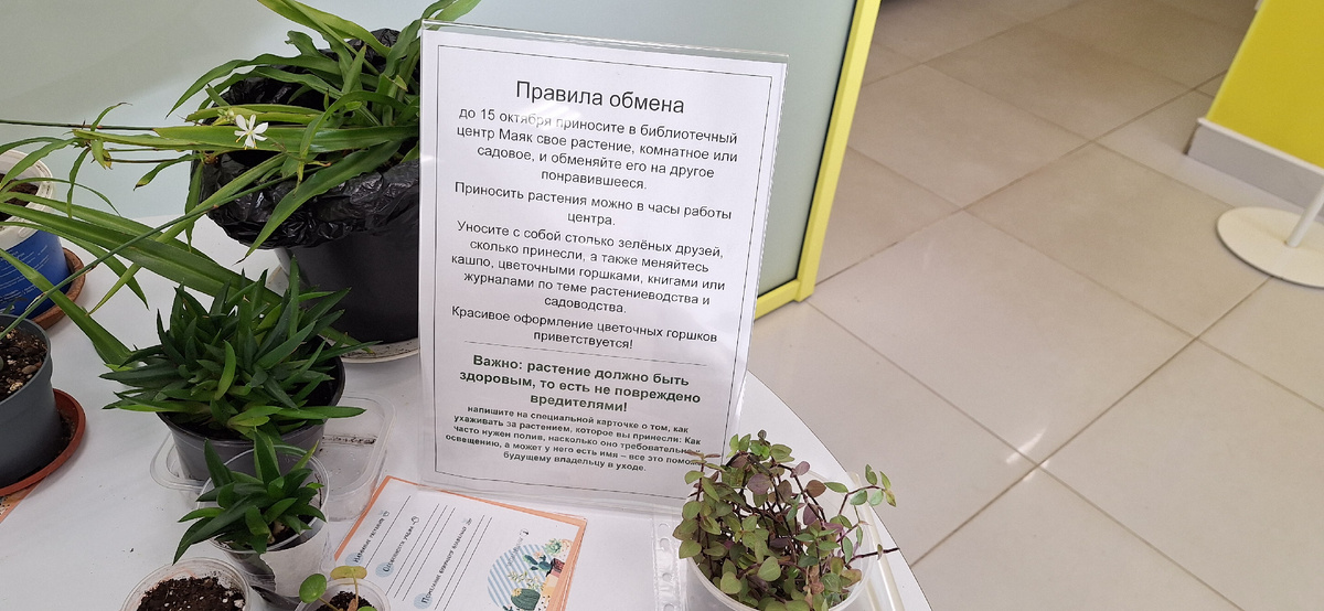 В правилах цветочного обмена указано, что растения должны быть здоровыми и без вредителей