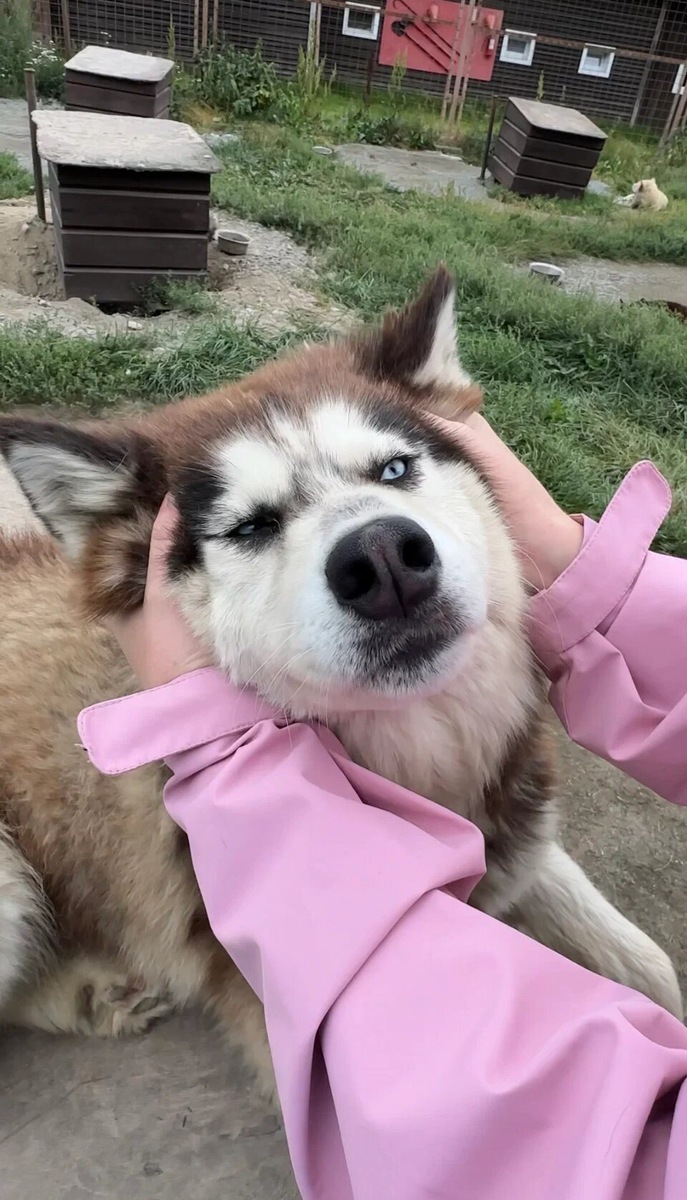Только посмотрите на это чудо
