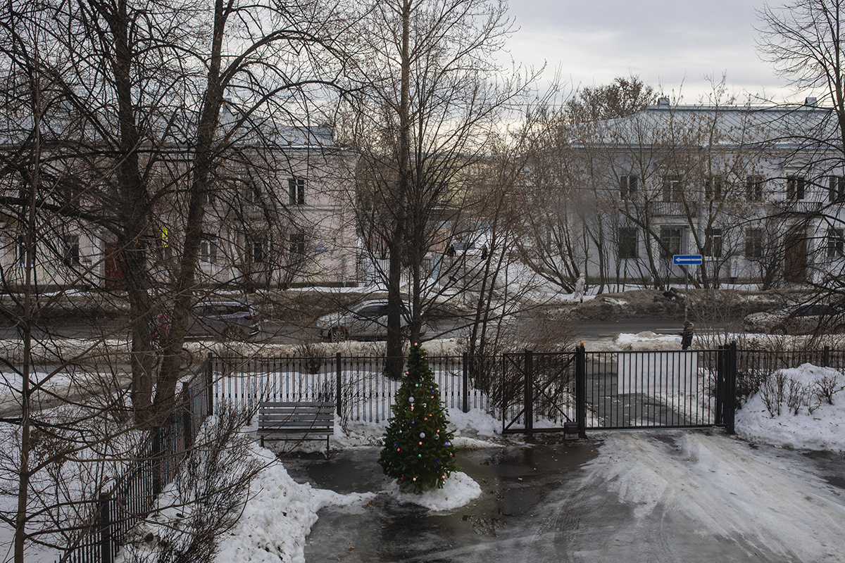  Двор с наряженной елкой после Нового года
Фото: Ольга Падалка