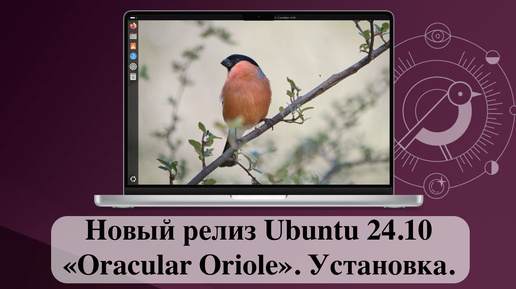 Новый релиз Ubuntu 24.10 «Oracular Oriole». Часть 1 - Установка.