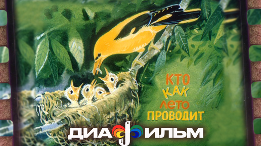 Диафильм СССР. Кто как лето проводит. 1988 год.