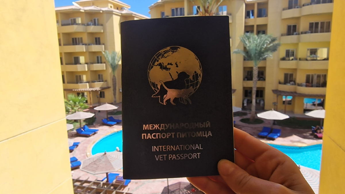 Международный паспорт Василия