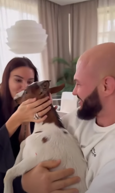 Джиган купил козу