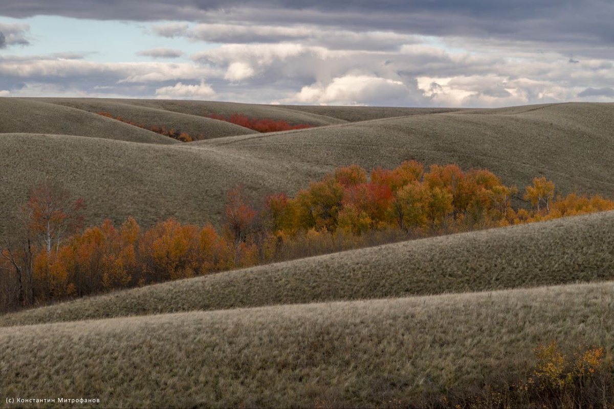  📷    Мурат Медетов рассказал об осенних буднях обитателей Оренбургского заповедника Марина Шарт