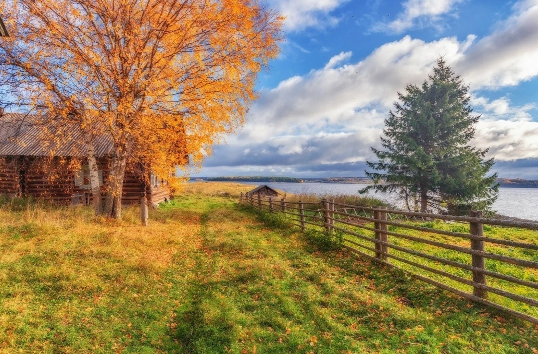 Картинка из интернета