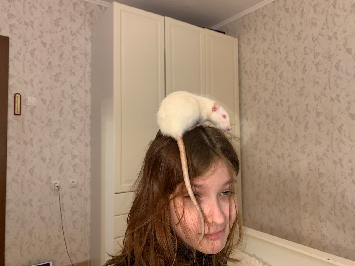 Неизвестно кто кого больше боится