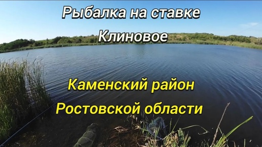 Рыбалка на ставке Клиновое. Ростовская область, Каменский район.