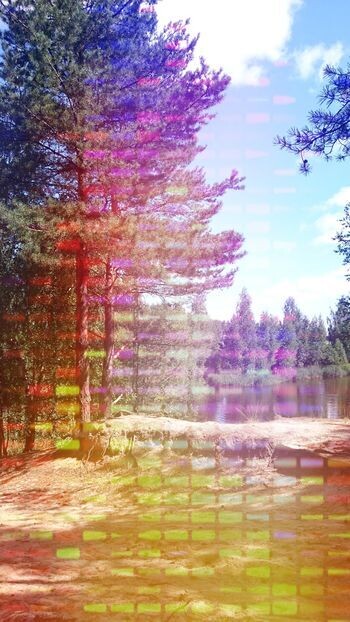 Собственное фото