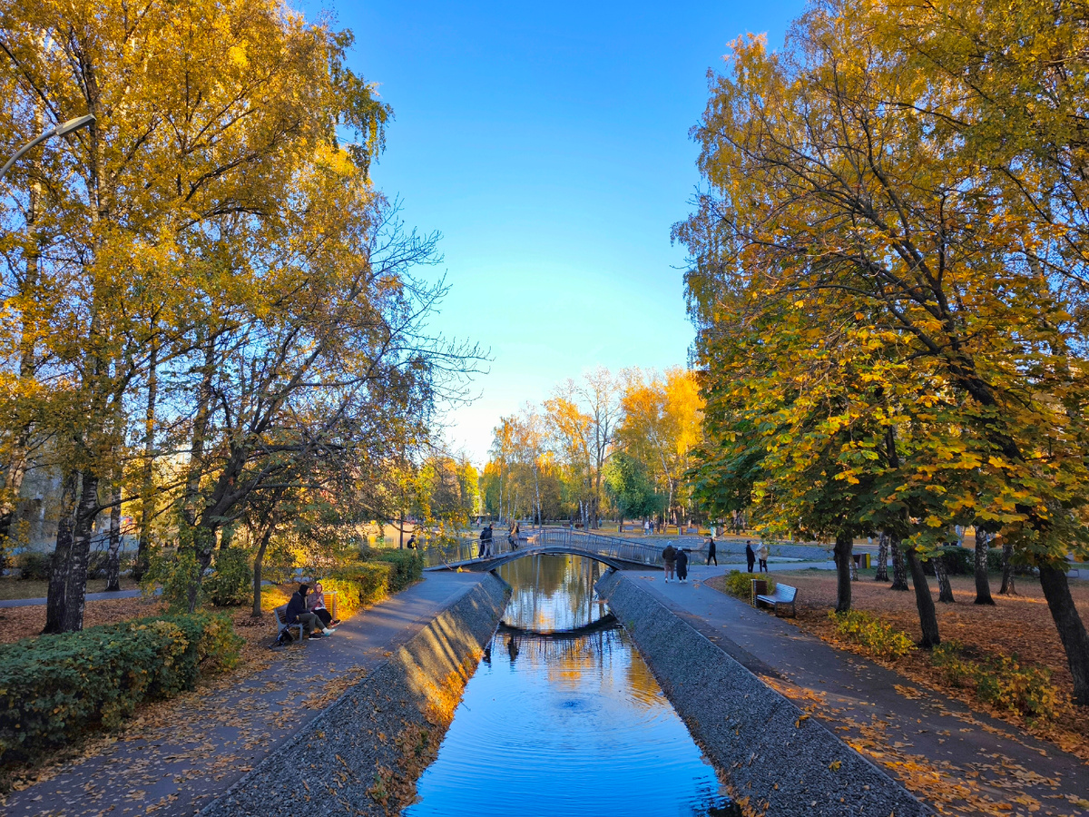 Фотография №1