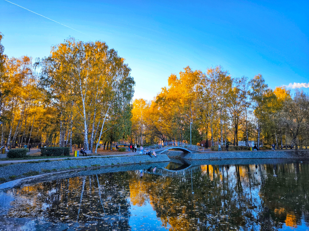 Фотография №2