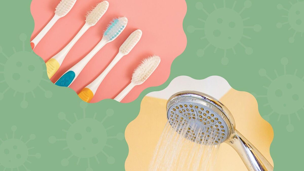    В лейках для душа и зубных щетках живут целые коллекции вирусов, о большинстве из которых ученые узнали впервые. Изображение: everydayhealth.com