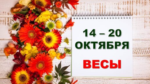 ♎ ВЕСЫ. 🏵 С 14 по 20 ОКТЯБРЯ 2024 г. 🌼 Таро-прогноз 💝