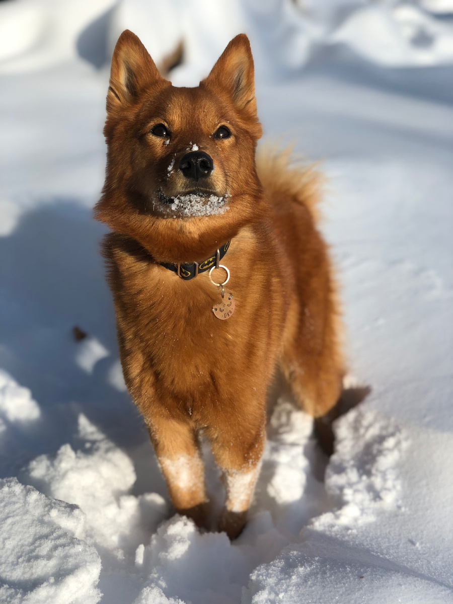 2019