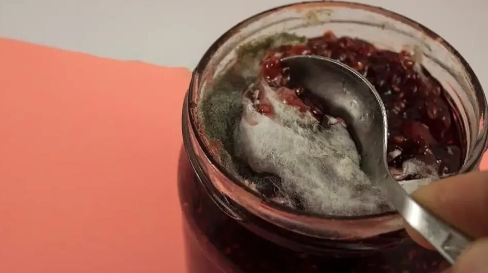 В банке с вареньем образовалась плесень. Рассказываю, как предотвратить порчу продукта и что делать с уже испорченным