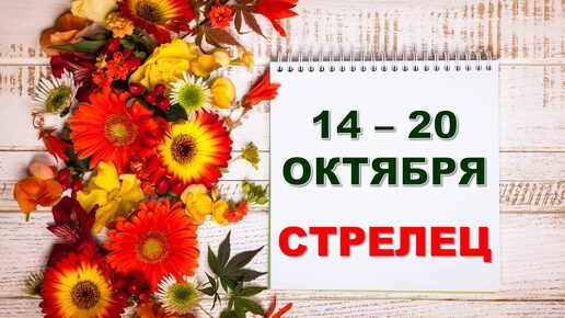 ♐ СТРЕЛЕЦ. 🏵 С 14 по 20 ОКТЯБРЯ 2024 г. 🌼 Таро-прогноз 💝