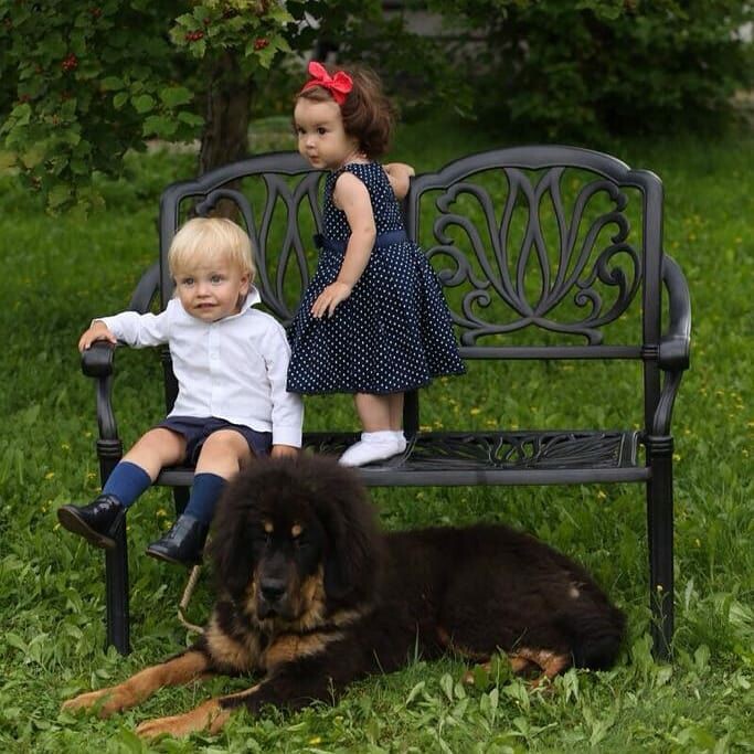 Детская фотосессия, г. Новосибирск, место «Белая Усадьба».