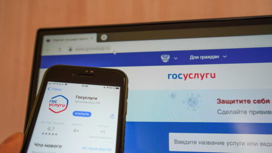    Минобрнауки России предложило принимать документы в магистратуру через "Госуслуги" Роман Захаров