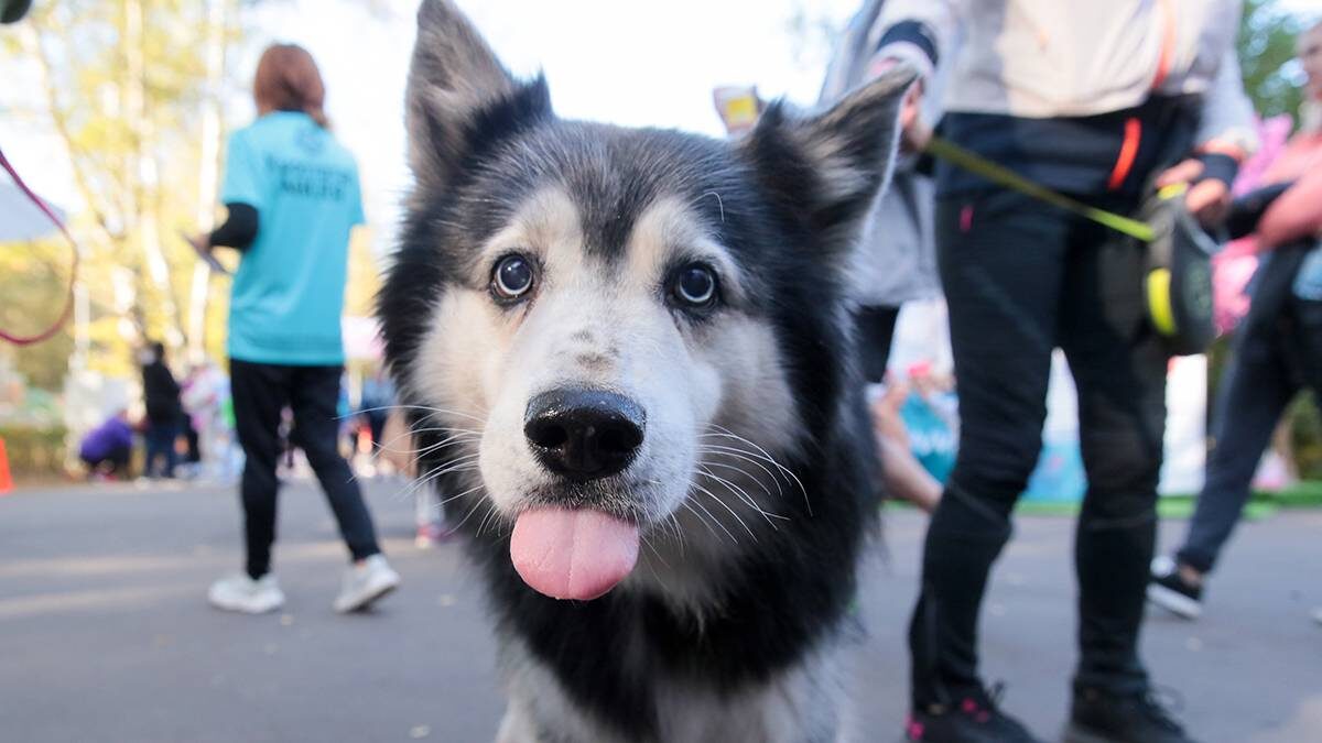    Фото: Василий Кузьмиченок / АГН Москва