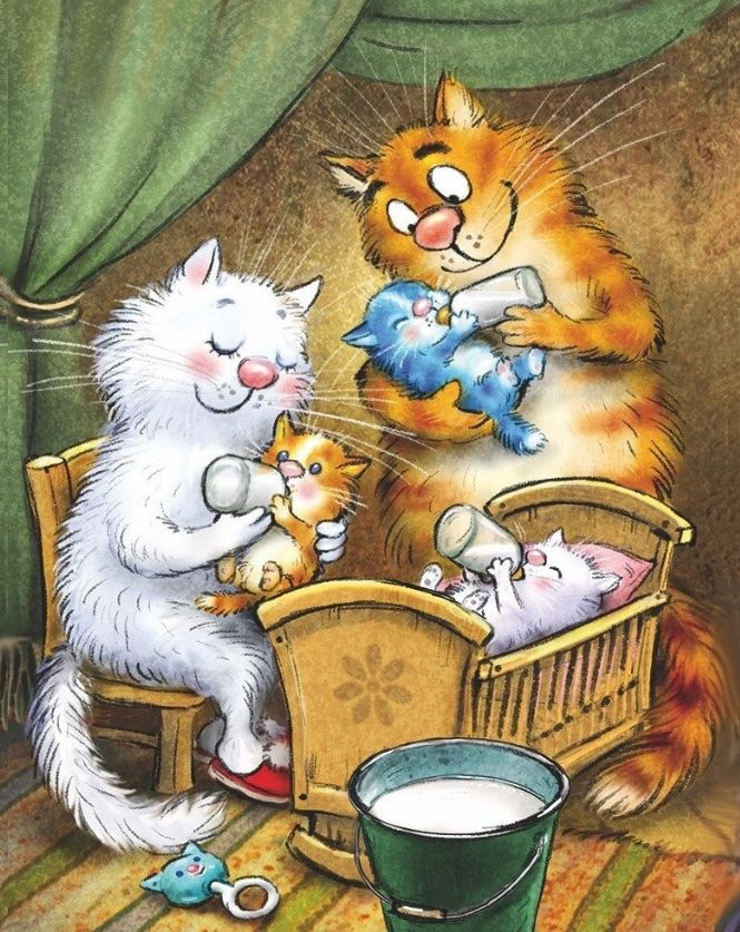 очаровательные коты Рины Зенюк
