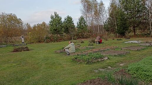 Приехали помощники Убрали лук порей и сделали много дел.