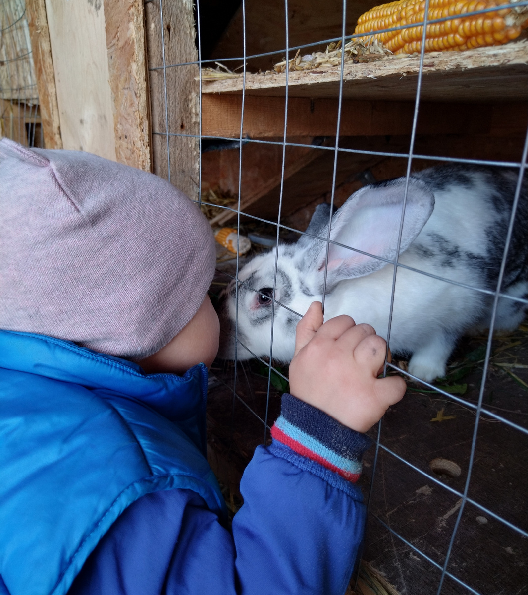 Любовь с первого взгляда.