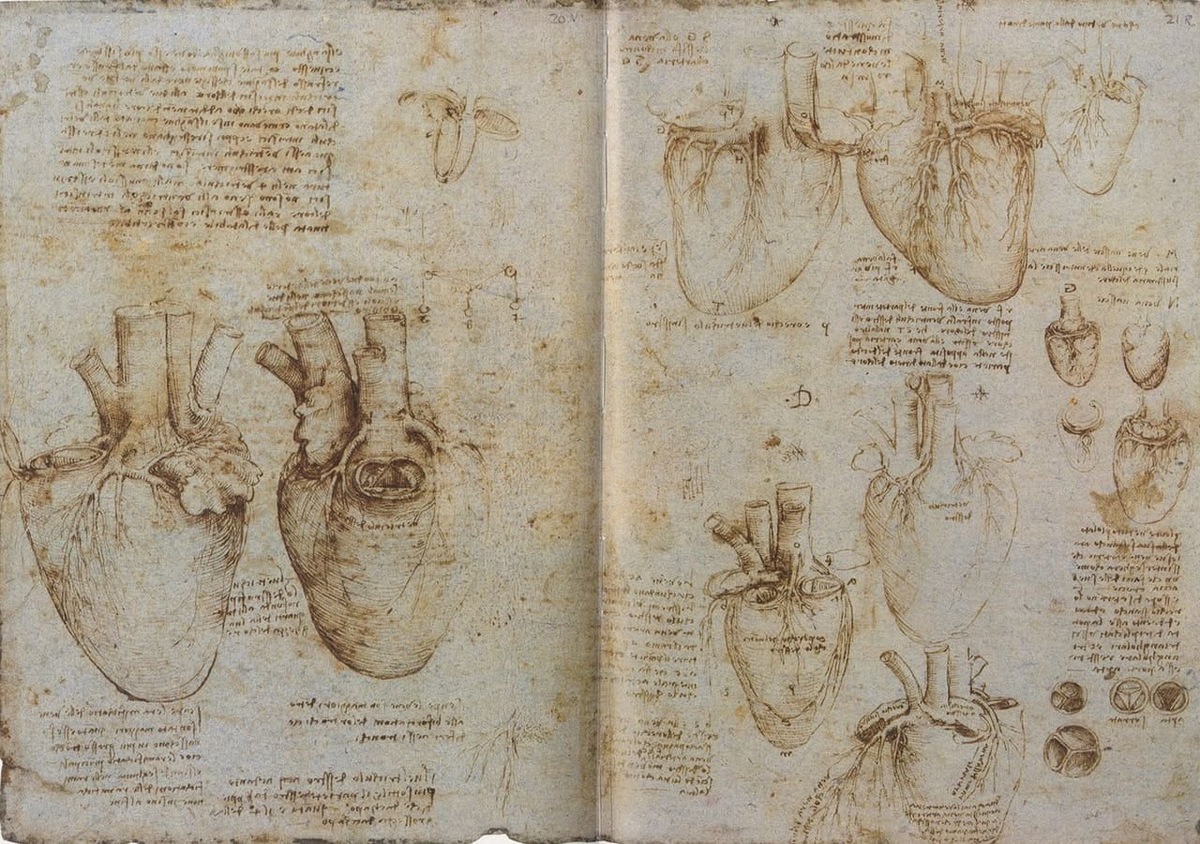 Иллюстрации Леонардо да Винчи