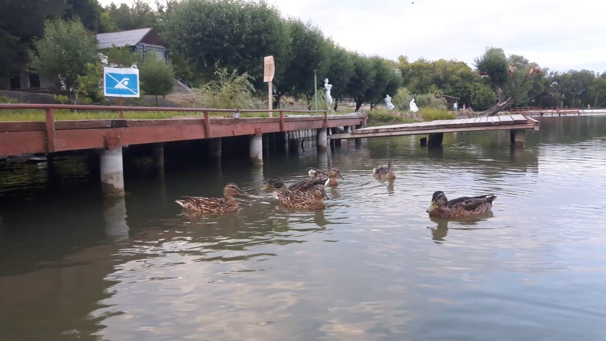 Купаться запрещено - обычный знак здесь. Фото: Голландец в России
