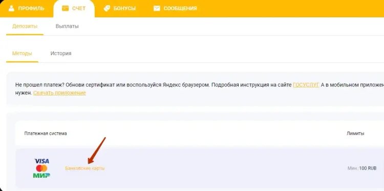    Способ депозита «Банковские карты»