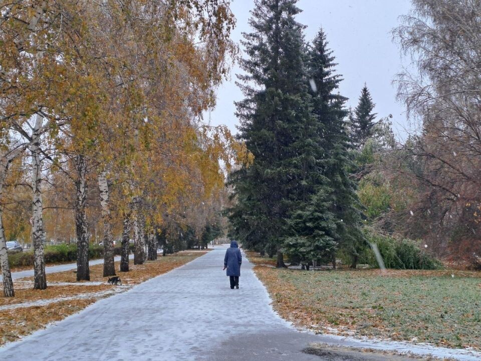    Снег в Барнауле. Источник: "Толк"