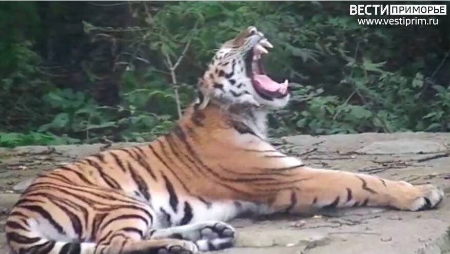    Источник фото: