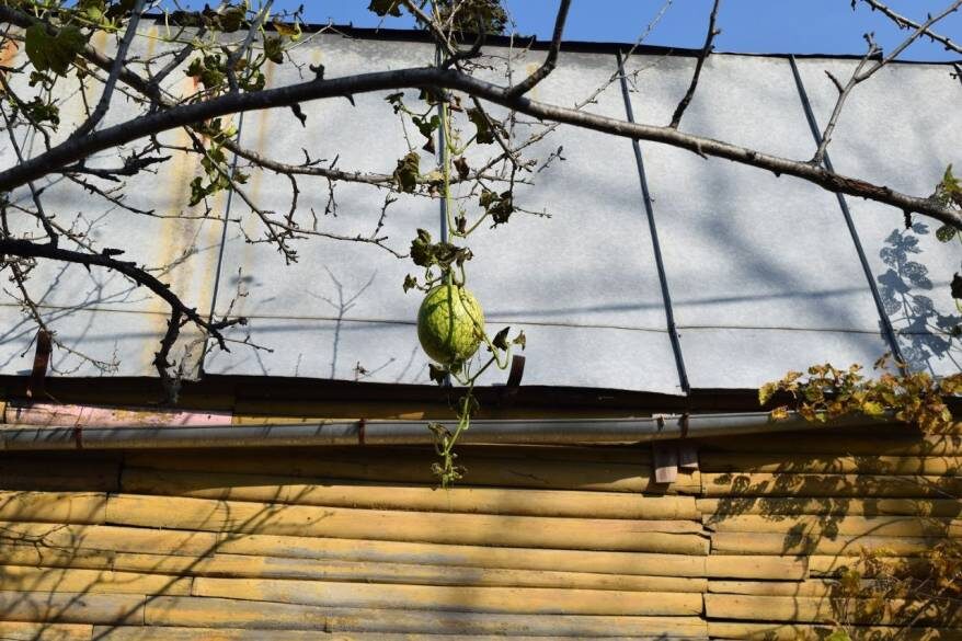    Источник фото: "Дальневосточные ведомости"