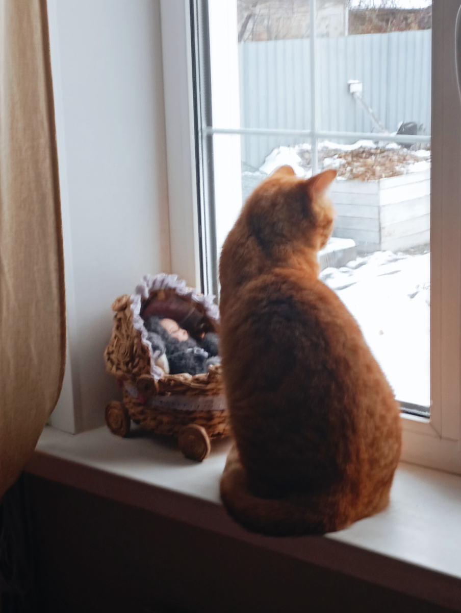 Сеня в шоке, что лето закончилось для него и наступила зима