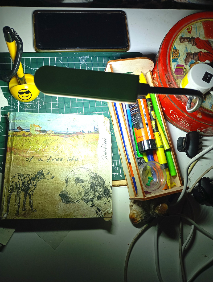 Я даже когда все спят, могу заниматься своими делами и не отвлекать никого из питомцев ярким светом.