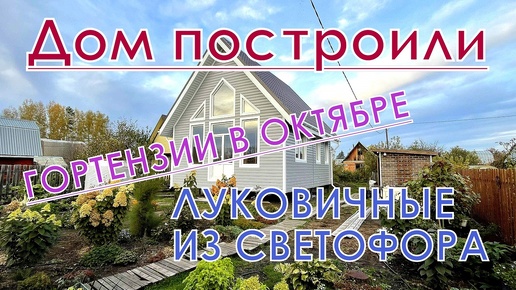 Дом построили| Купила много луковичных | Гортензии в октябре