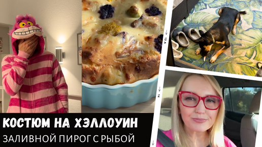 Заливной пирог с рыбой / Костюм на Хэллоуин / Подарок для Кузи / Влог США