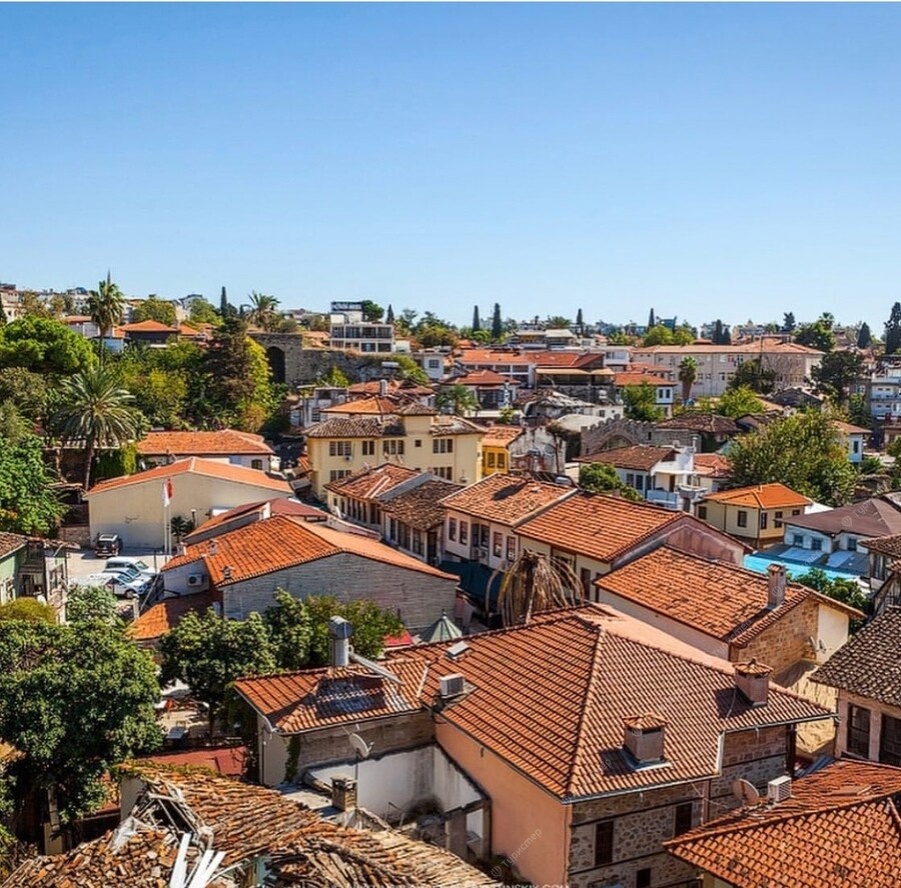 Фотография из открытого источника