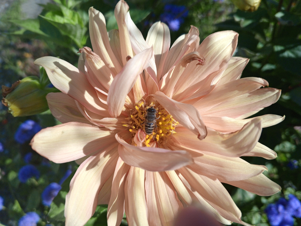 Греется и ест