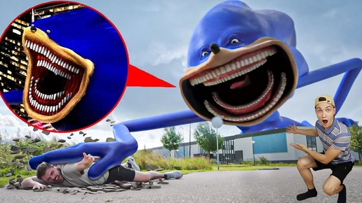 😱 Я Поймал ВСЕХ МОНСТРОВ SONIC.EXE в Реальной Жизни !