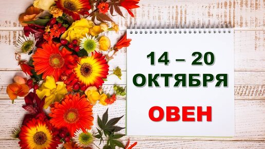 ♈ ОВЕН. 🏵 С 14 по 20 ОКТЯБРЯ 2024 г. 🌼 Таро-прогноз 💝