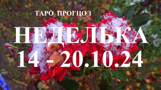 ВЕСЫ. НЕДЕЛЬКА на период 14 - 20.10. 2024 года. ТАРО прогноз. Татьяна Шаманова.